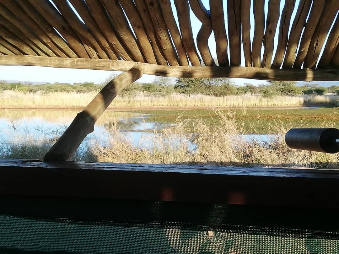 The view from a bow hide over the water