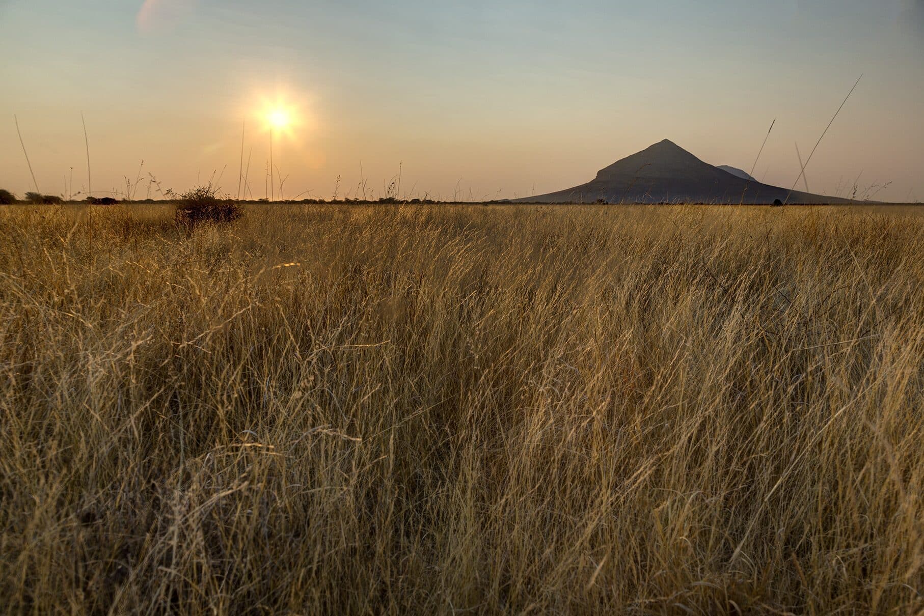 Grassland at sunset with the Omatako peak